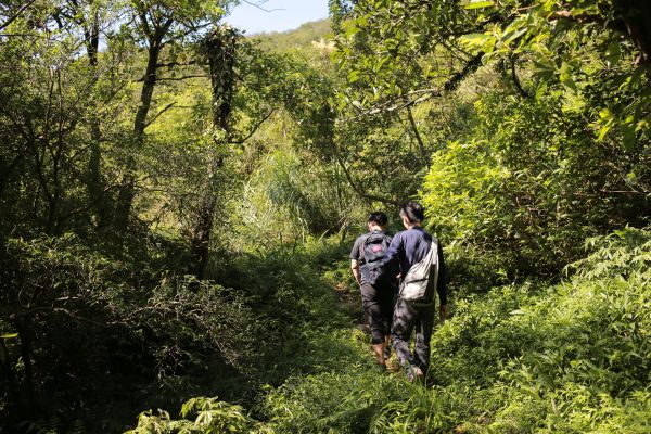 竹子山古道：北北峰161379