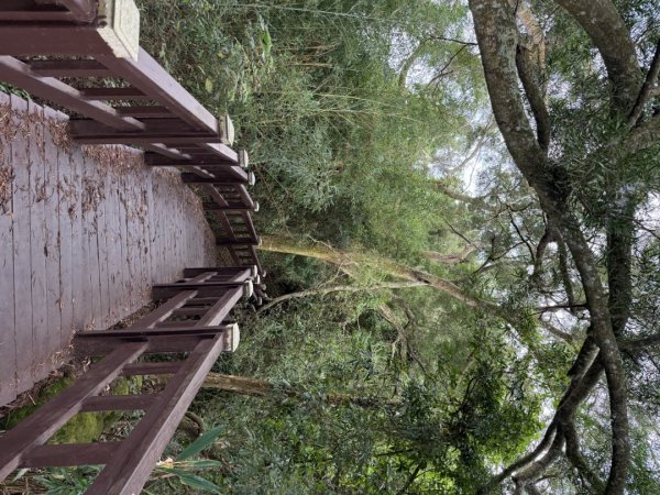 后里觀音山 鳳凰山2816257