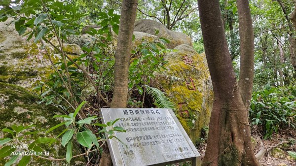 圓通寺烘爐地登山步道大O走3007130