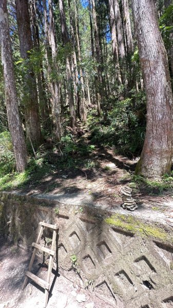 太平之旅 三星山/翠峰湖/見晴2873360