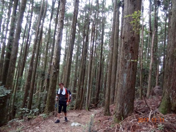 谷關七雄—馬崙山20171111203576