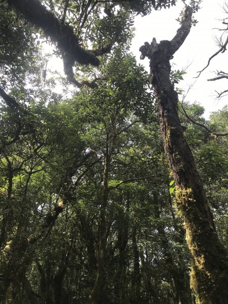 哈盆古道-波露南山-波露山O型走1475883