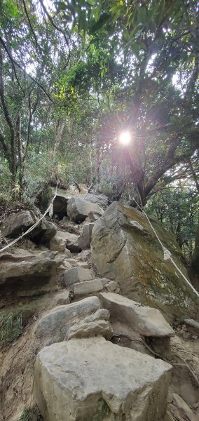 一日2座小百岳仙山、關刀山外加獅潭仙草秘境2082391