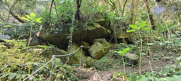 2026/02/21-馬胎古道（含二期）3005119