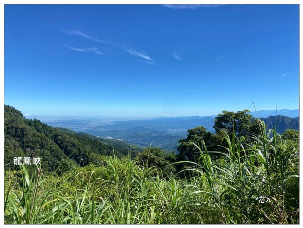 龍鳳峽縱走羊頭崙山(溪頭七連峰)2542311