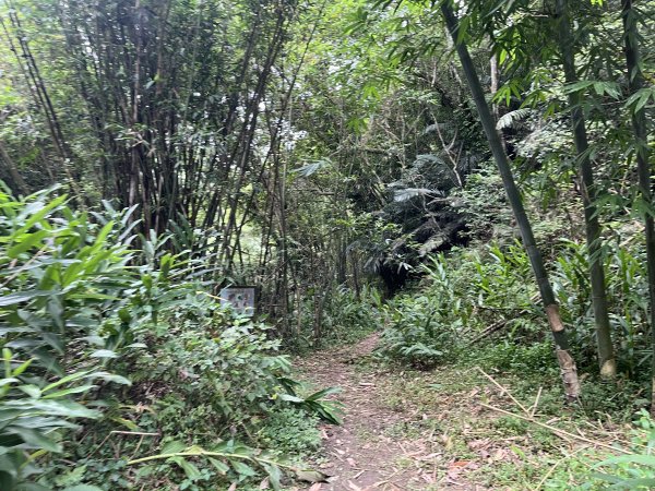 [皮皮獅探險隊-06/10] 2025_0706 四寮溪生態步道2831974