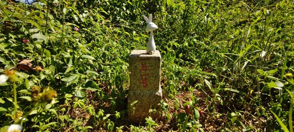 2025/10/05_四角坪道2905300