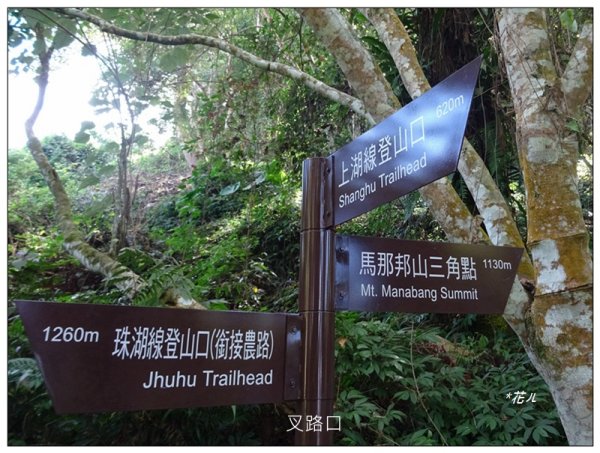 馬那邦山(小百岳)/上湖登山口2427062