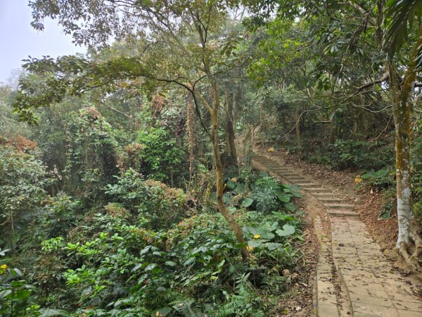 石硦林場（桶頭山）2991255