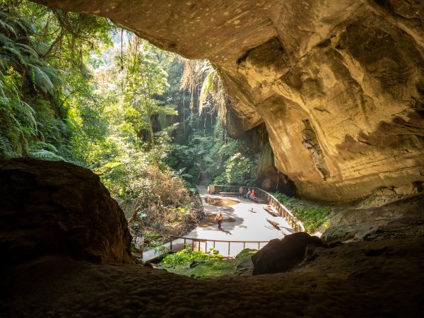 三民蝙輻洞2802494