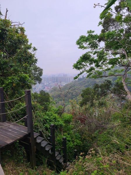 大坑10號提前修好啦(10號上+6號+7號下)2753639