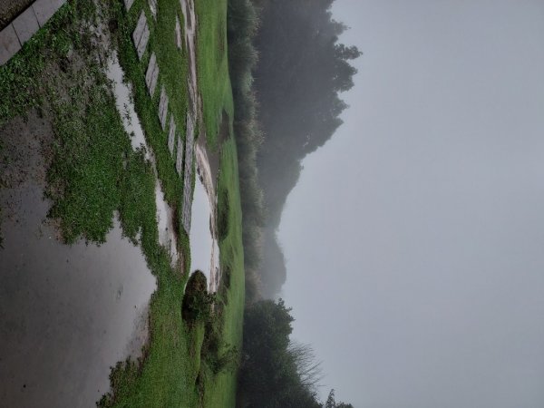 小油坑～七星山～冷水坑～擎天崗1940759