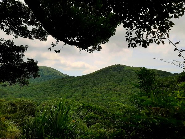 端午登高順陽好節氣 炎炎夏日。登高看雲去1008983