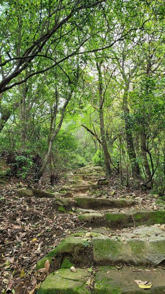 擎天崗系步道巡禮2104321