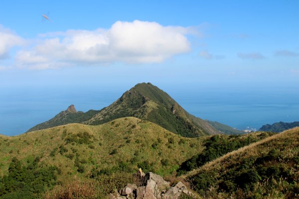 【金瓜石】漫山芒花怒放浪漫，礦山藍海奇景夢幻！2964025