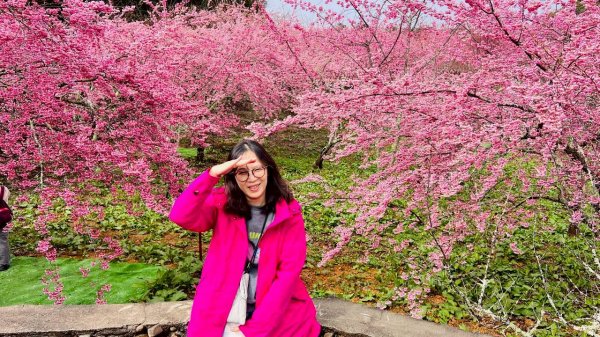 🌈3/1（日）福壽山農場~千櫻園✨FB：熊熊趴爬走🌈3008561