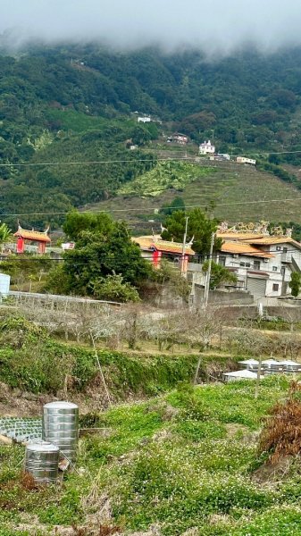 馬那邦山O走2370134