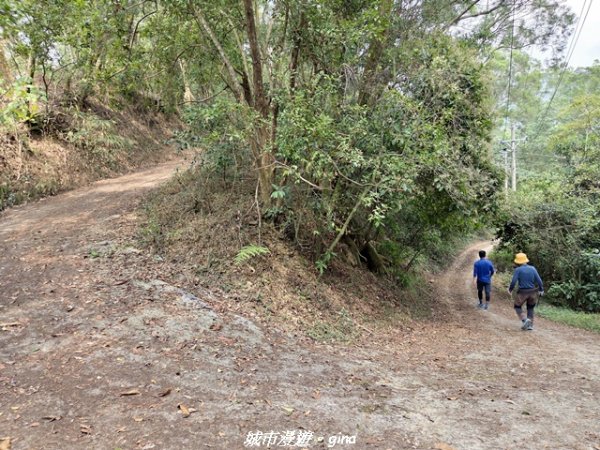 【屏東瑪家】小百岳笠頂山步道3013112