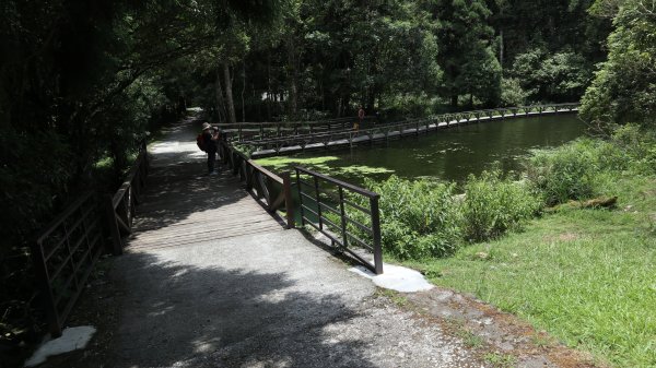 福山植物園登山健行趣(步道)2269412