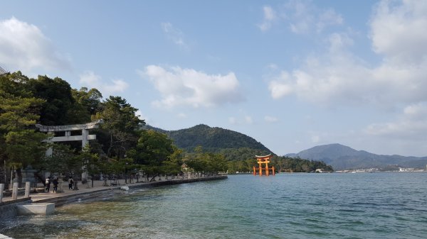 【日本】宮島一日遊。嚴島神社。彌山登山步道1437340