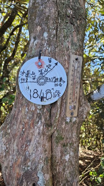 【細說大雪山木馬古道】橫嶺山、沙蓮山、笛吹山O繞2921095