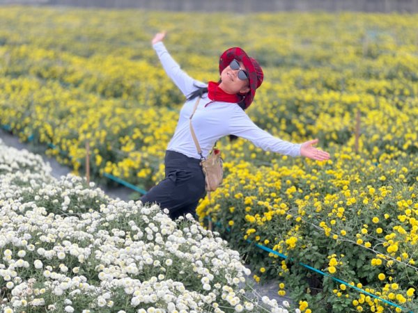 小百岳關刀山889m+銅鑼杭菊1924074