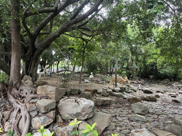 [全臺走路趣尋寶-25/100] 2024_0706_南瀛綠都心公園2546370
