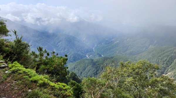 玉山前峰，關子嶺大凍山，宜蘭拳頭姆自然步道2313396