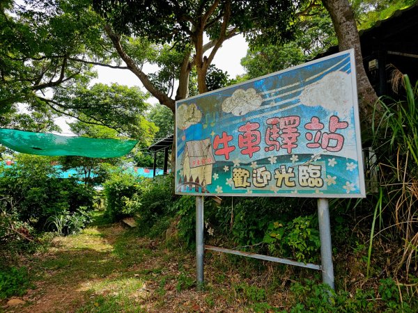 漢卿步道/秀才步道-2025森遊竹縣皮皮獅探險隊2890070