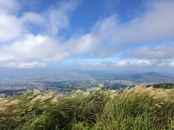 [百山百鳥尋旅-11/15] 2025_0927 大屯主峰-連峰步道_大屯山南峰2899379