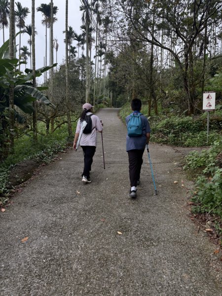 20251019伍龍步道-梅峰-竹子尖山-福光山2924084