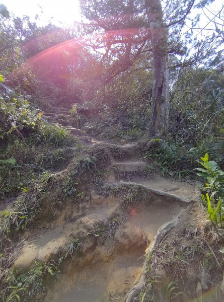 石門山好漢坡-小粗坑-小竹坑古道1279051