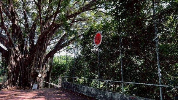 🌈10/5（日）熊熊趴爬走九歲~🥰✨FB：熊熊趴爬走 🌈2906024