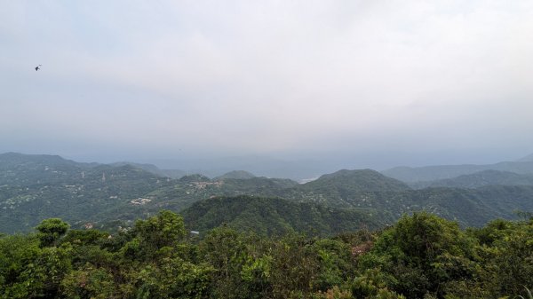 二格山登山步道 栳寮線2501002