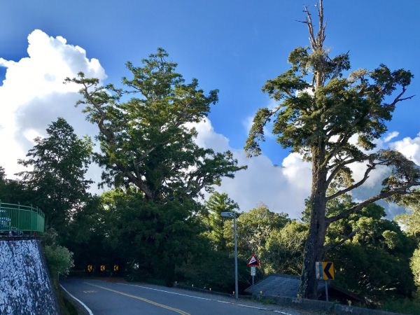 卡拉寶山登山步道407110