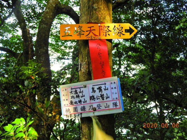 新竹 五峰 鳥嘴山、鵝公髻山986647