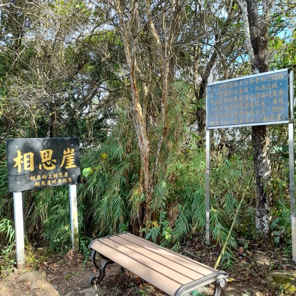 小百岳No.27⛰飛鳳山(中坑山)2405860