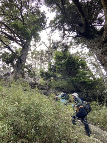 屏風山加碼大鐘塔2280775