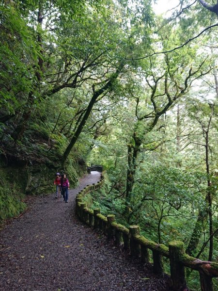 福巴越嶺古道上拉拉山（達觀山）1748368