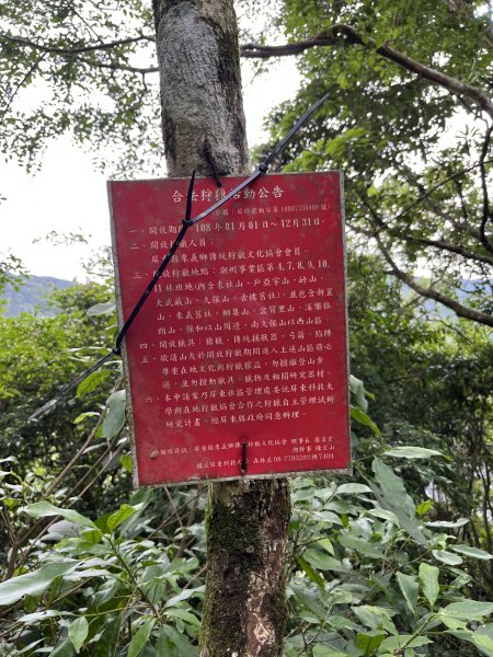 舊白鷺部落-久保山-久集山-棚集山-丹林 2025.8.72863984