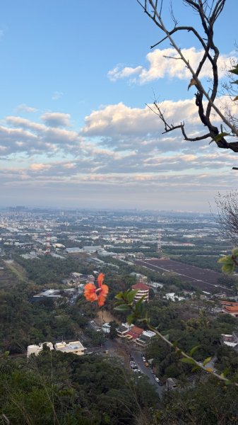 觀音山連峰3000308
