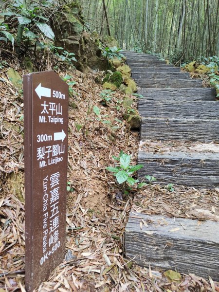 2023.12.23 梨子腳山2833259