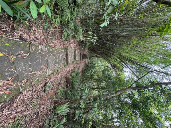 2025/04/13 小百岳第008「大崙頭山」2760266