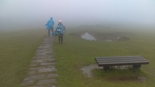 【臺北大縱走3】擎天崗石梯嶺頂山風櫃嘴884365