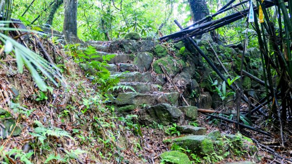 石笋古道,焿子寮古道,松子嶺古道2798337