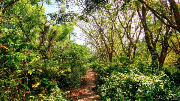 台南知事官邸等3002004