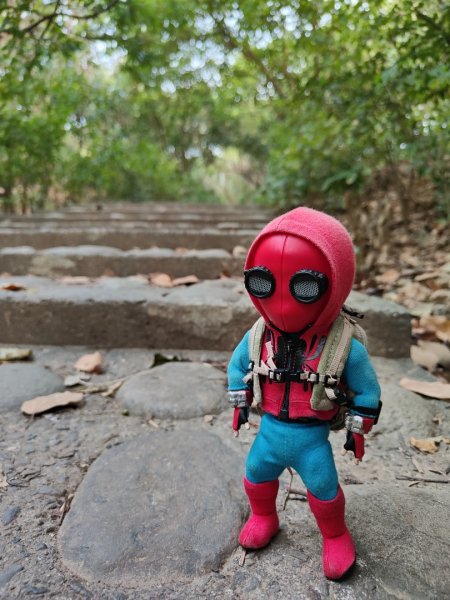 2023.12.24 高雄壽山2835307