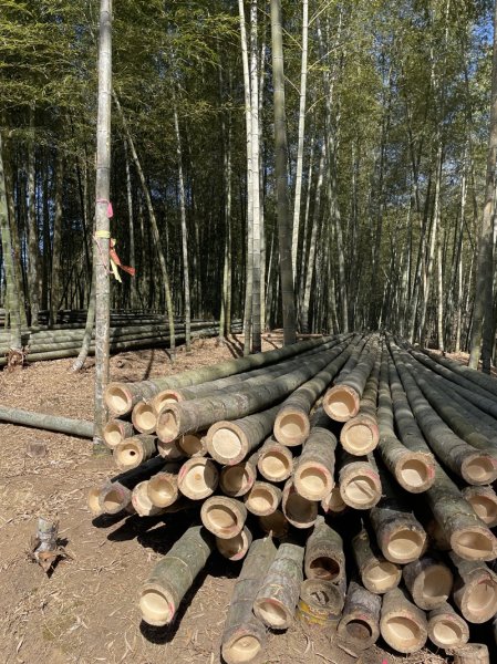 鹿谷小半天七連峰2992092