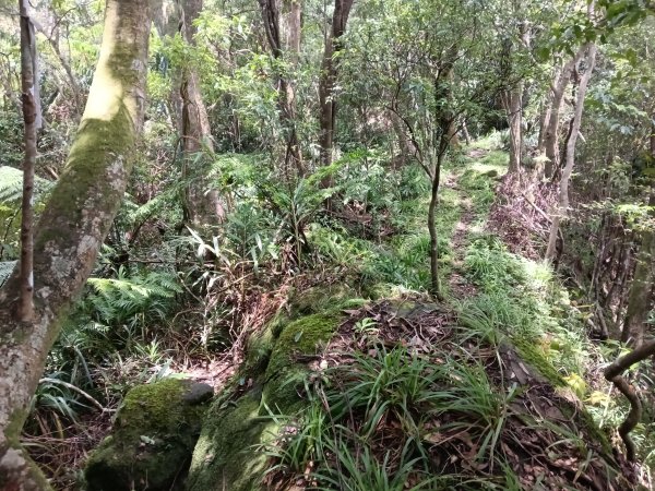 平溪區平溪子山遇雷雨O型2850122