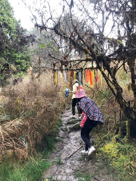 【宜蘭。大同】  三個女生的森林漫遊。  小百岳集起來。 編號85小百岳~三星山登山步道1665015